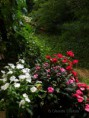 /album/galleria-foto-galleria-fotografica/dscn7885-hf-c-jpg/
